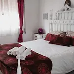 Casa Do Gato Branco 펜션 푸라도우로